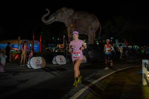 BIB: 
                            <button type="button" onclick="openModal(26552259)" class="btn btn-primary btn-sm float-right btn-popup" data-toggle="modal" data-target=".modal-high-quality">
                        <i class="fas fa-shopping-cart"></i> Add to Cart
                    </button>
                                            <button type="button" onclick="isThisMe(26552259, true)" class="btn btn-success btn-sm float-right btn-popup btn-isme hidden" data-toggle="tooltip" data-placement="bottom" title="นี่คือรูปของคุณใช่ไหม คลิกที่นี่เพื่อเอาเข้าอัลบั้ม">
                        <i class="fas fa-plus"></i> Add to album
                    </button>
                    <button type="button" onclick="isThisMe(26552259, false)" class="btn btn-warning btn-sm float-right btn-popup btn-isnotme hidden">
                        <i class="fas fa-ban"></i> Remove from album
                    </button>